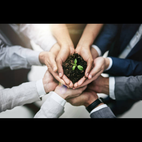 Growth Stocks Best Growth Stocks