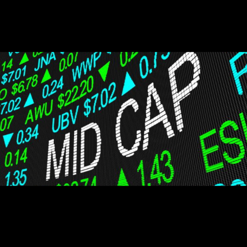 Best Growth Stocks for 2024: Discovering Mid-Cap Gems