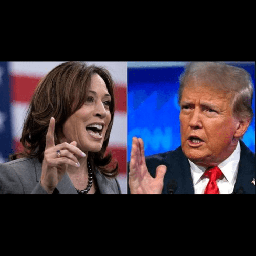 Trump vs Harris